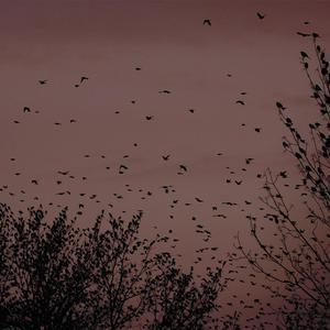 吴燕妮裸乳被爆❌白浆小说o
